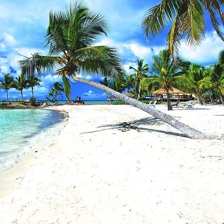 Bluff House Beach Resort & Marina Green Turtle Cay Esterno foto